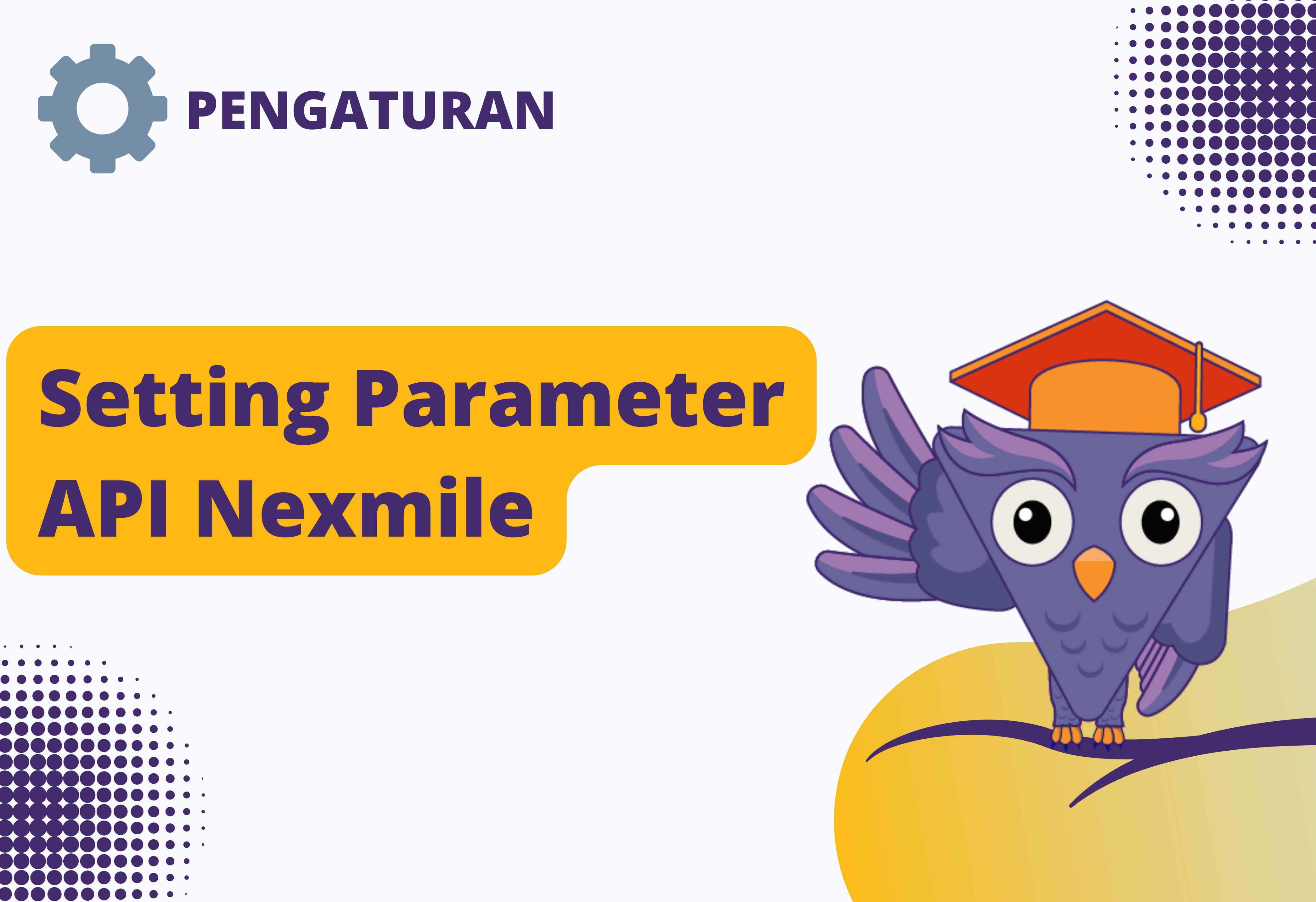 Setting parameter API Nexmile